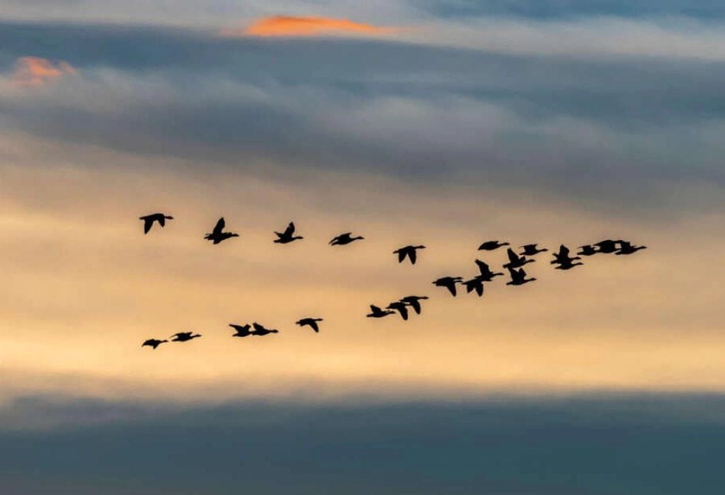 Số 1, số 2 – thước đo trong tay&nbsp;ai?